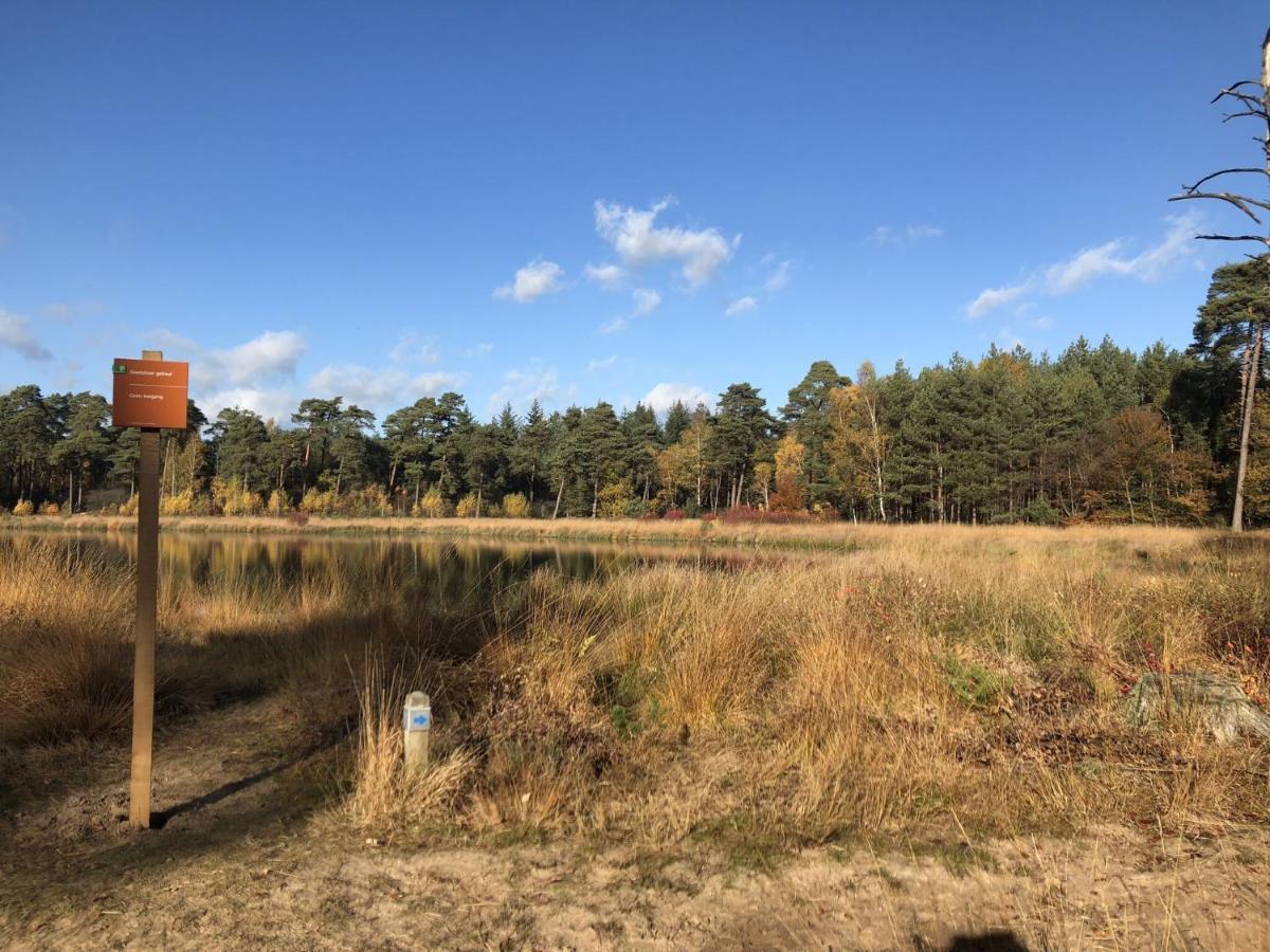 Villa On An Estate In Rheezerveen With Garden المظهر الخارجي الصورة